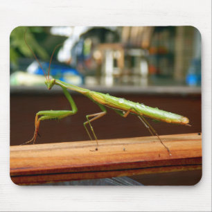 Mantis Mouse Mat beten Mousepad