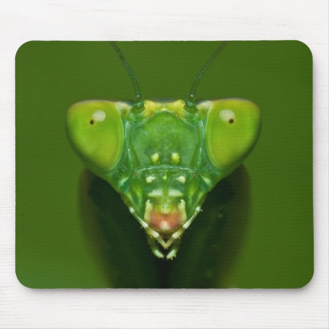 Mantis Mousepad (Vorne)