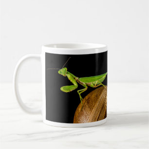 Mantis Nah-up beten Kaffeetasse