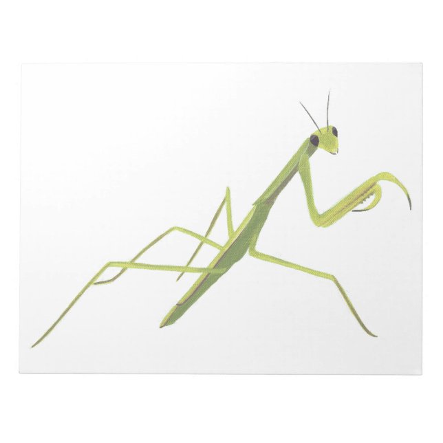 Mantis Painting Notepad Notizblock (Vorderseite)