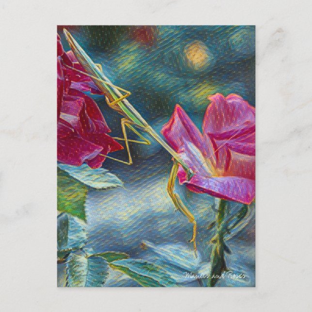 Mantis：Postcard Postkarte (Vorderseite)