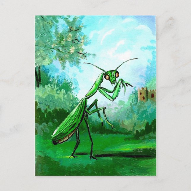 Mantis Postkarte (Vorderseite)