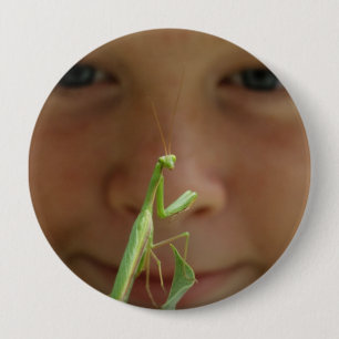 Mantis religiosa button