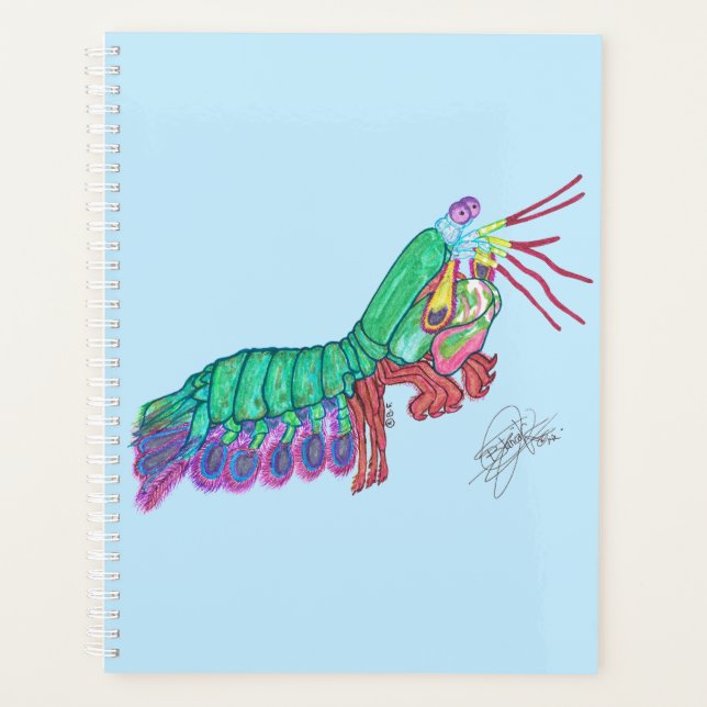 MANTIS SHRIMP PLANER (Vorderseite)