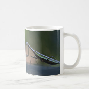 Mantis-Tasse beten Tasse