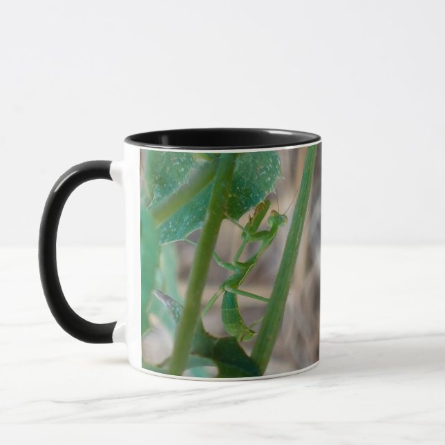 Mantis-Tasse beten Tasse (Links)