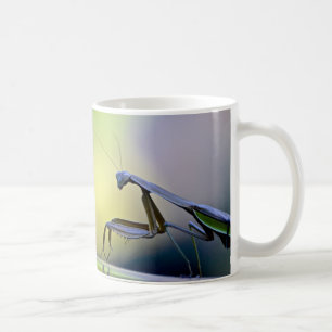 Mantis-Tasse beten Tasse