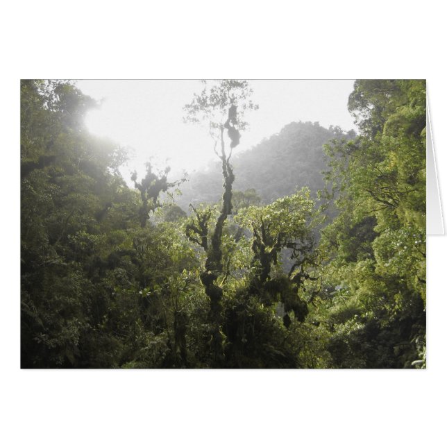 Manu-Nationalpark (Vorderseite (Horizontal))