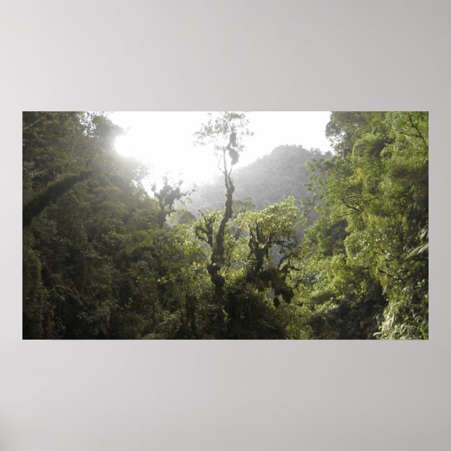 Manu-Nationalpark Poster (Vorne)