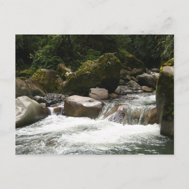 Manu-Nationalpark Postkarte (Vorderseite)