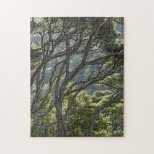 Manuka Tree Forest Neuseeland Puzzle