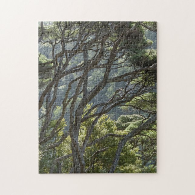 Manuka Tree Forest Neuseeland Puzzle (Vertikal)