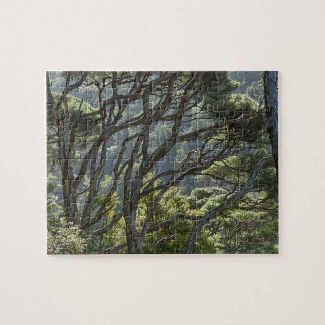 Manuka Tree Forest Neuseeland Puzzle (Horizontal)