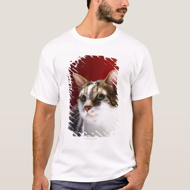 Manx Katze T-Shirt (Vorderseite)