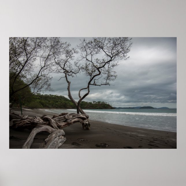 Manzanillo Poster (Vorne)