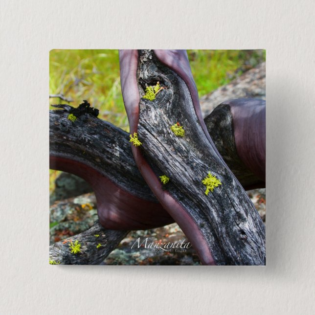 Manzanita Button (Vorderseite)