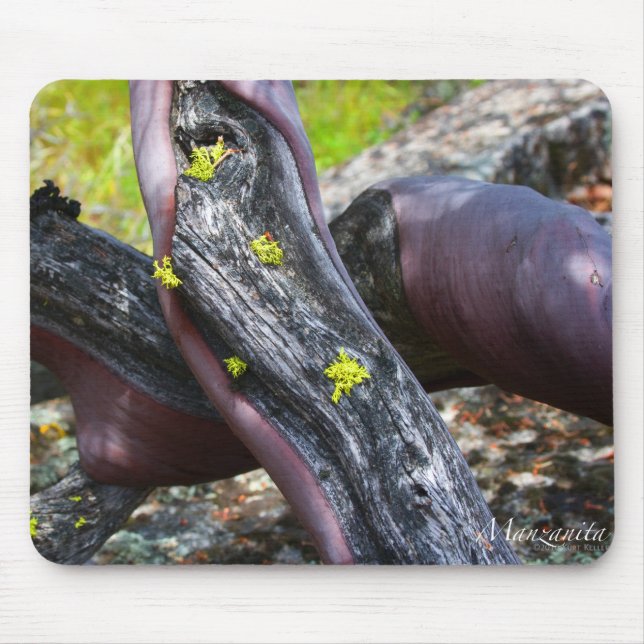 Manzanita Mousepad (Vorne)