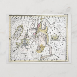 Map of The Constellations Plate VIII Postkarte