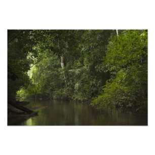 Mapari-Fluss, Mapari Rupununi, Guyana. Fotodruck