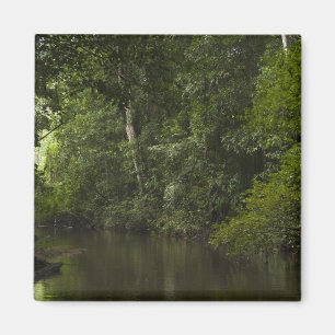 Mapari-Fluss, Mapari Rupununi, Guyana. Magnet