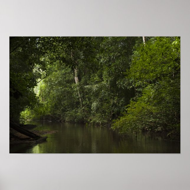 Mapari River, Mapari Rupununi, Guyana. Poster (Vorne)