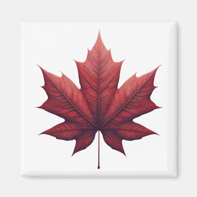 Mapel Leaf Magnet (Vorne)