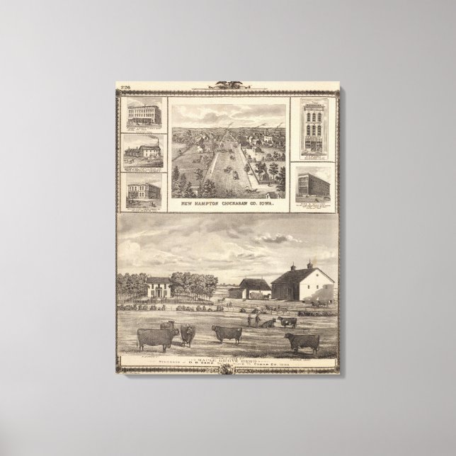 Maple Grove Herd, Cedar Co New Hampton Leinwanddruck (Vorderseite)
