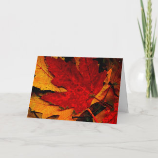 MAPLE LEAF RAG KARTE