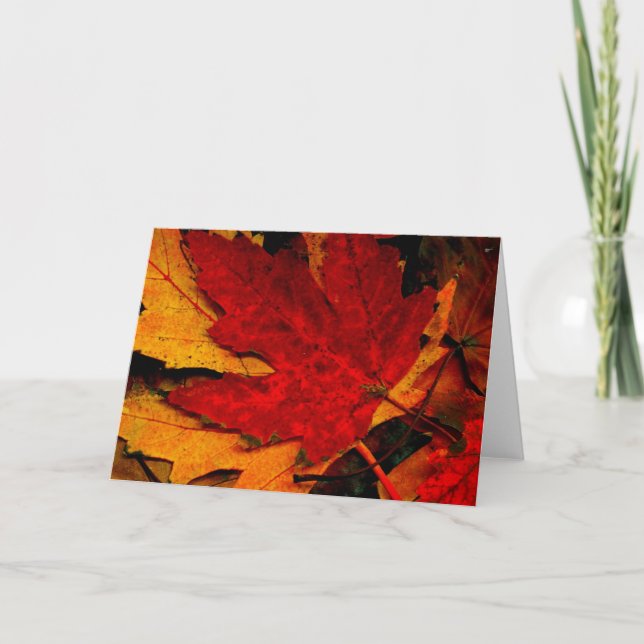 MAPLE LEAF RAG KARTE (Vorderseite)