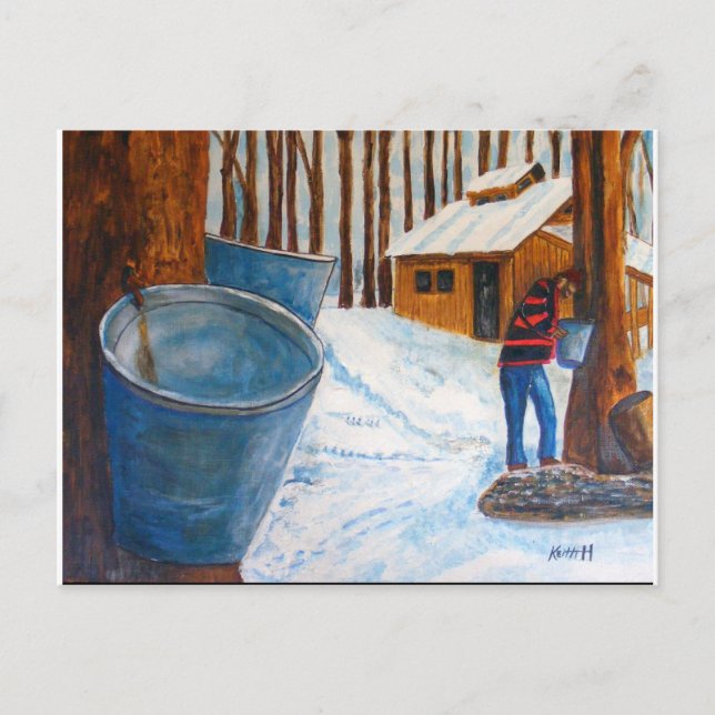 Maple Sugar Bush Postkarte (Vorderseite)