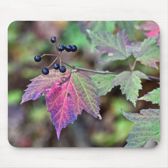 Mapleleaf Viburnum Herbstleaves und Berries Mousepad (Vorne)