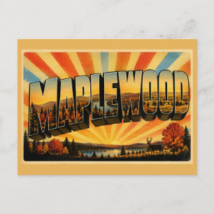 Maplewood Minnesota State Park Glazialsee-Wald Postkarte