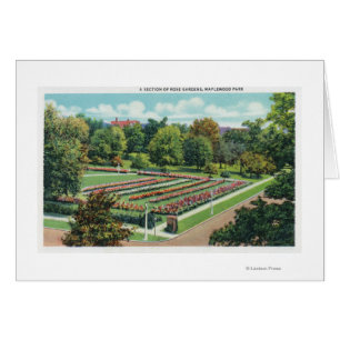 Maplewood Park Rose Gartenblick