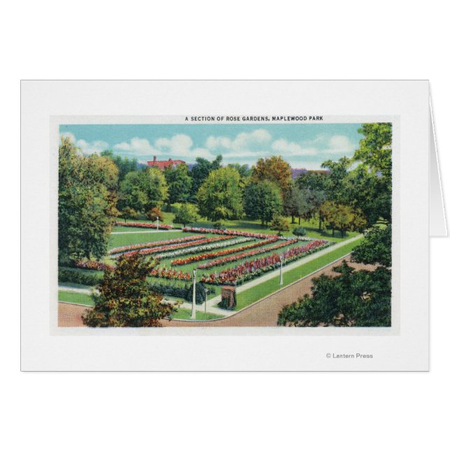Maplewood Park Rose Gartenblick (Vorderseite (Horizontal))