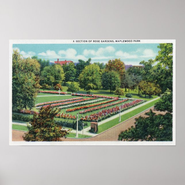 Maplewood Park Rose Gartenblick Poster (Vorne)