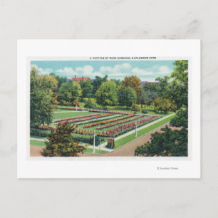 Maplewood Park Rose Gartenblick Postkarte