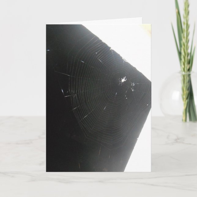 "Maplewood Spider" Get Well Card Karte (Vorderseite)