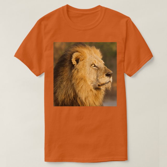Mapogo lion in his prime T-Shirt (Design vorne)