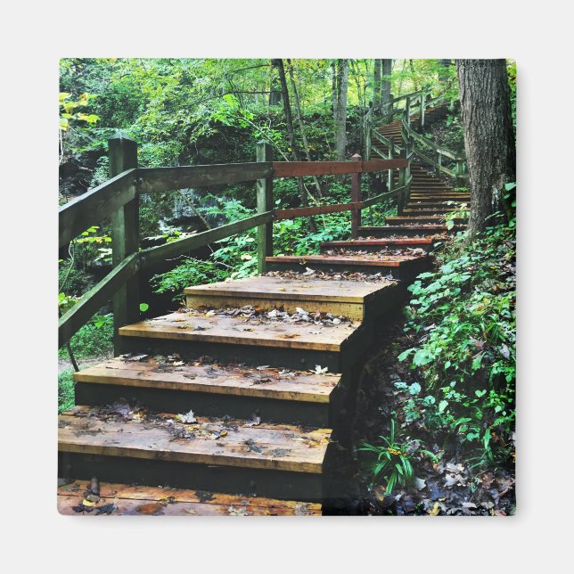 Maquoketa Höhlen Staat Parktreppe Magnet (Vorne)