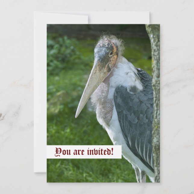 Marabou-Individualeinladung Einladung (Vorderseite)
