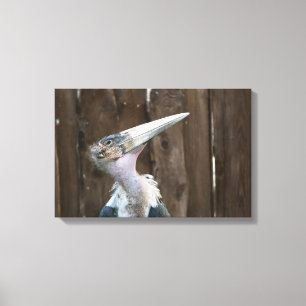 Marabou Stork Leinwanddruck