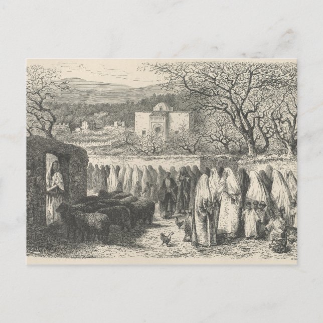 Marabout und Prozession: Tlemcen Postkarte (Vorderseite)