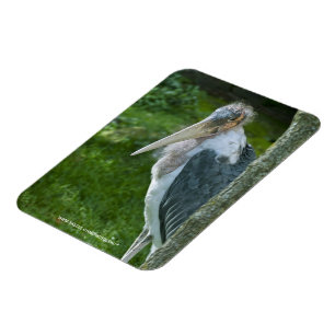 Marabu Magnet
