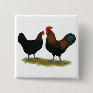 Marans Black Copper Button