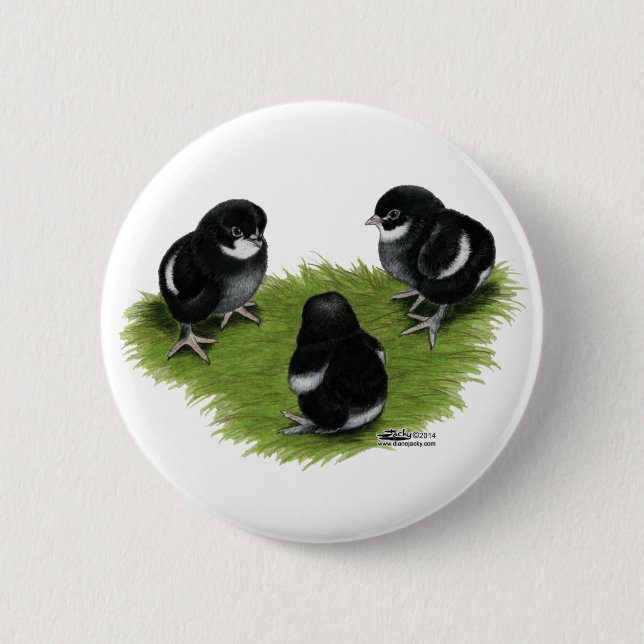 Marans Black Copper Chicks Button (Vorderseite)