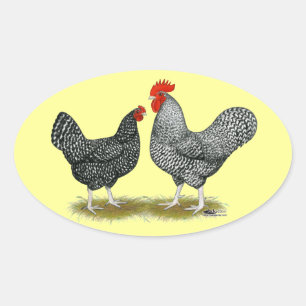 Marans: Cuckoo Pair Ovaler Aufkleber