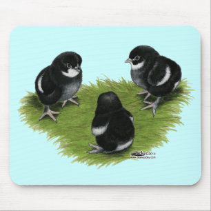 Marans Schwarz Kupfer Küken Mousepad