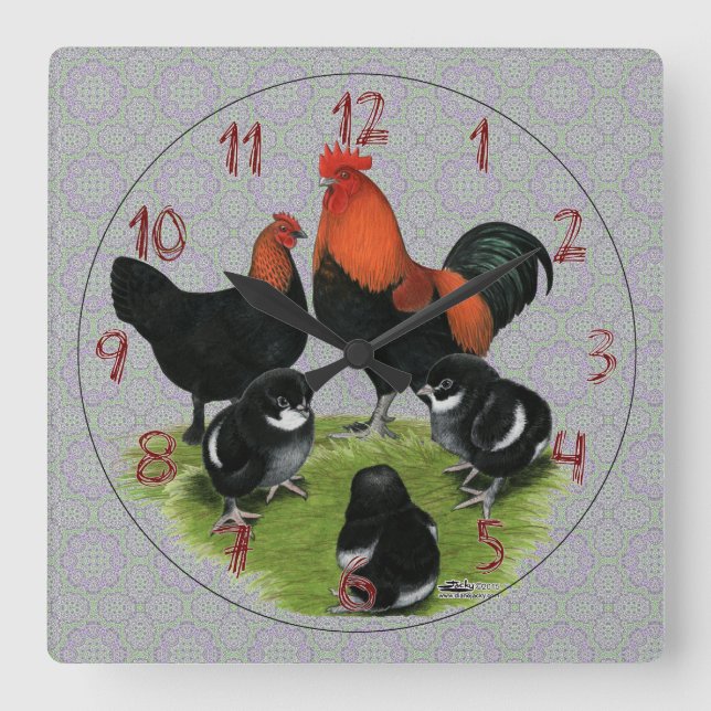 Marans schwarze kupferne Huhn-Familie Quadratische Wanduhr (Vorderseite)