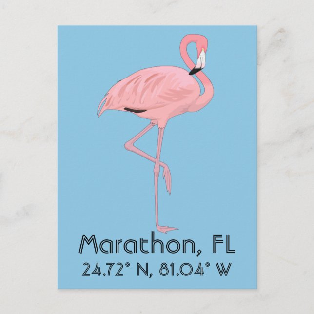Marathon FL Keys Flamingo Breitengrad Postkarte (Vorderseite)