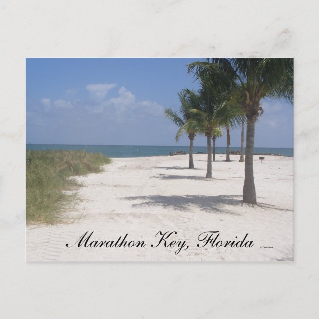 Marathon Key, Florida Postkarte (Vorderseite)